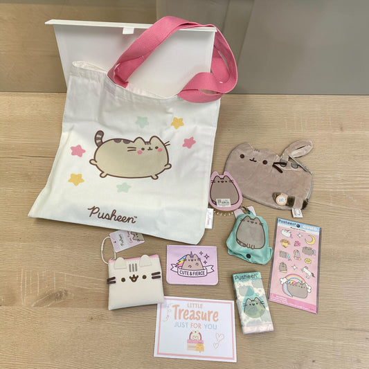 Pusheen Gift Hamper Cat Lover Set Tote Bag Stickers Plush Cute Kawaii Box
