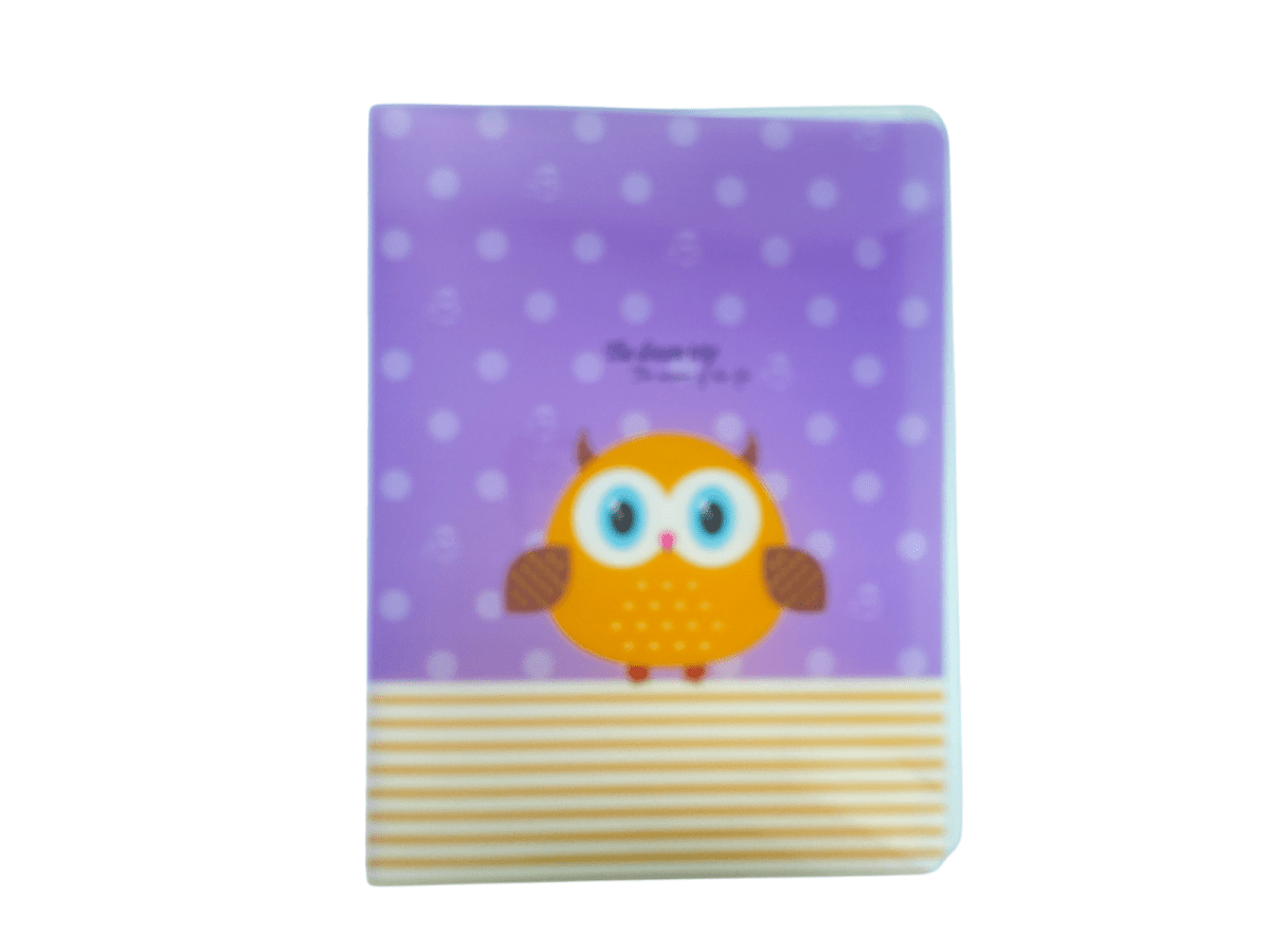 Cute Owl A4 Flexi Display Book with 20 Pockets 40 to View Folder - PartyErasers