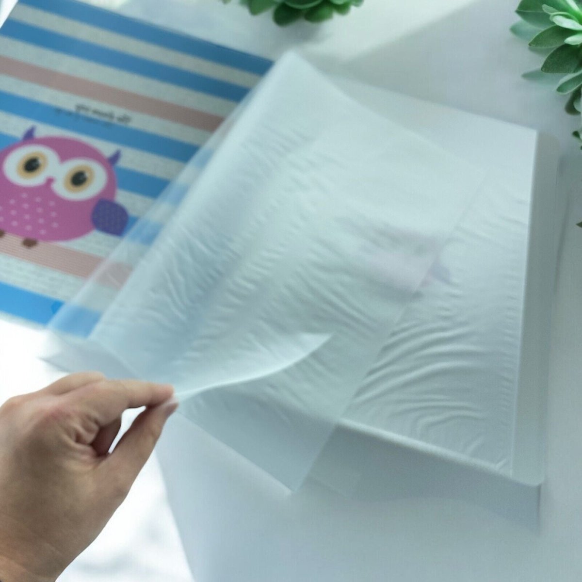 Set of 4 Cute Owl 20 pockets A4 Display Book File Folder - PartyErasers