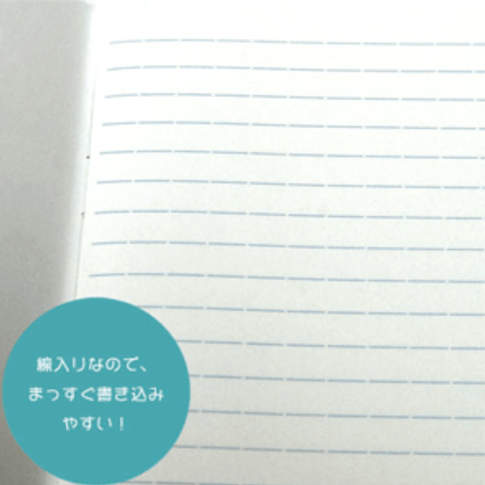 Shinzi Katoh B5 Ruled Line Exercise Writing Book School Classroom - PartyErasers