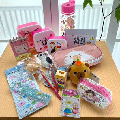 Back to School Stationery Gift Hamper Plush Toys Pencil Case Lunch Box Bottle - PartyErasers