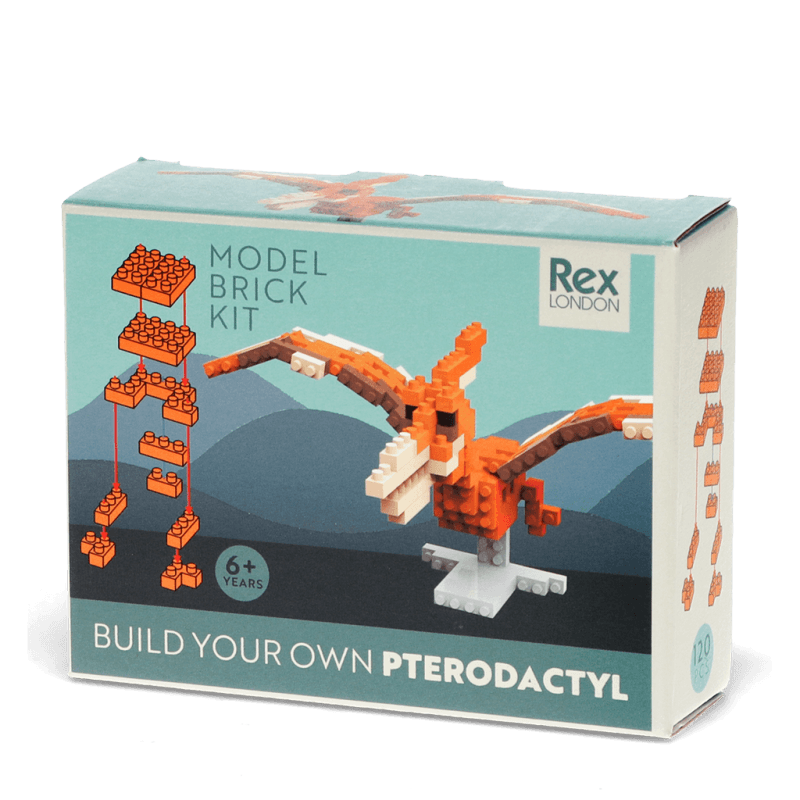 Build your own dinosaur model brick kit - Pterodactyl - PartyErasers