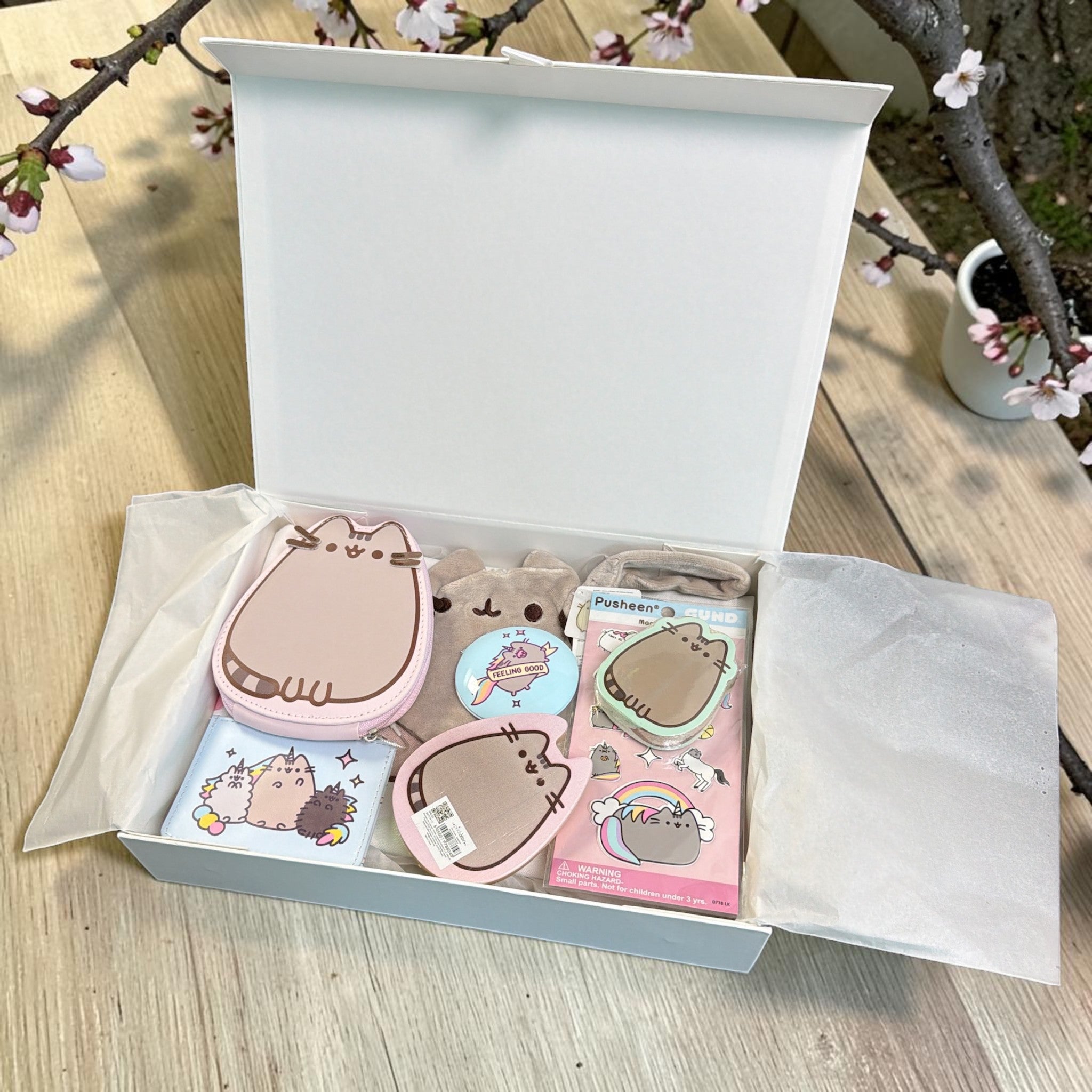 Pusheen Cat Gift Hamper: Bento & Sushi Club Set