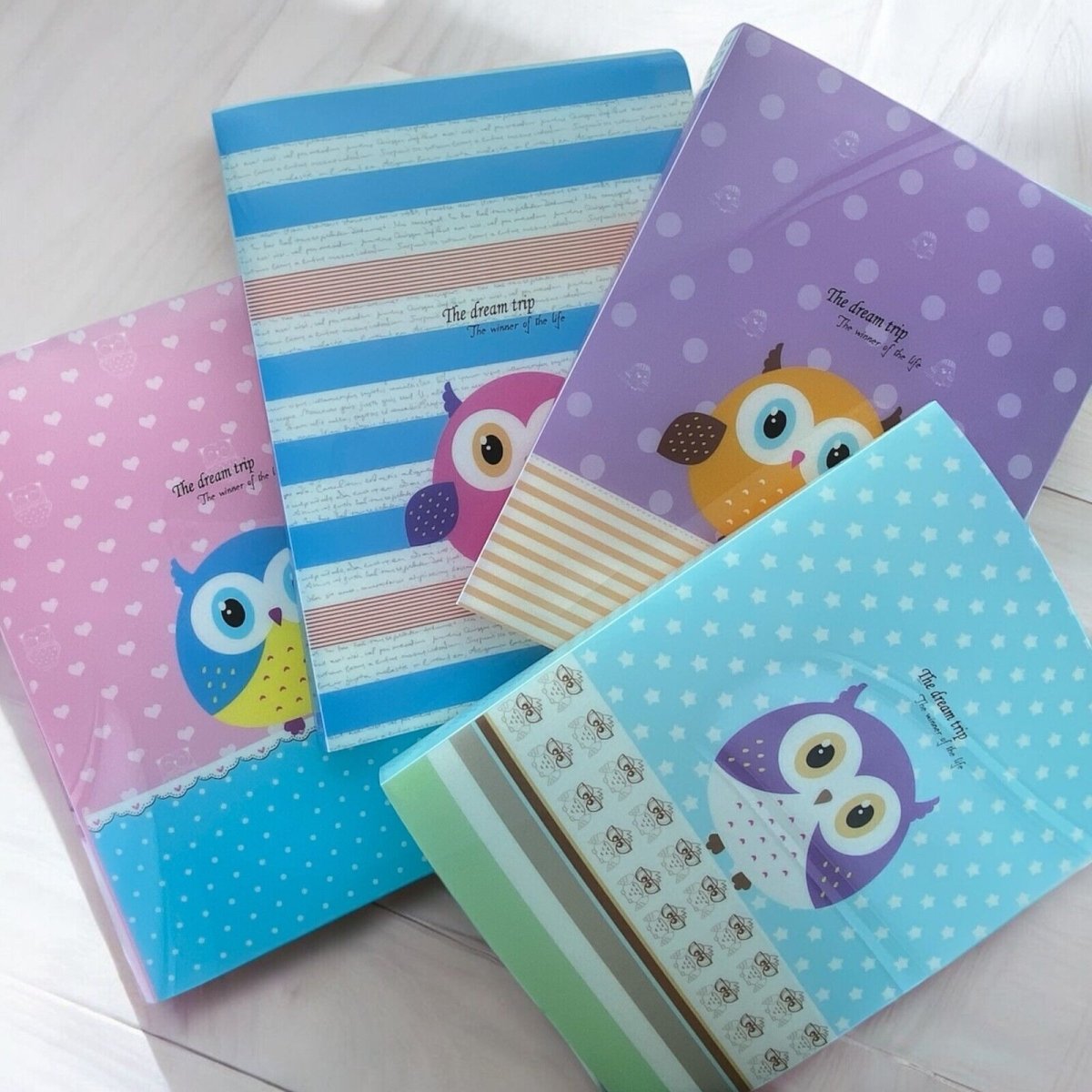Cute Owl A4 Flexi Display Book with 20 Pockets 40 to View Folder - PartyErasers