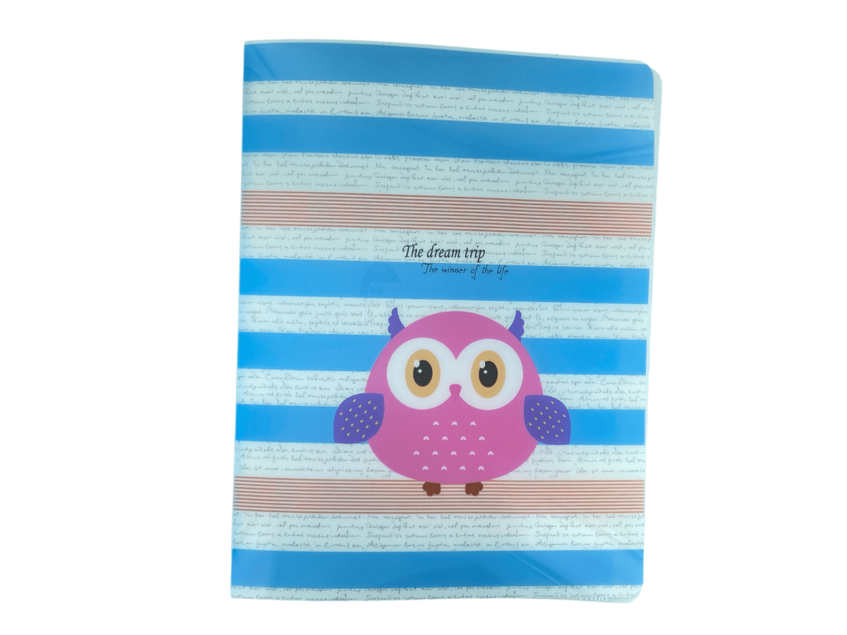 Cute Owl A4 Flexi Display Book with 20 Pockets 40 to View Folder - PartyErasers
