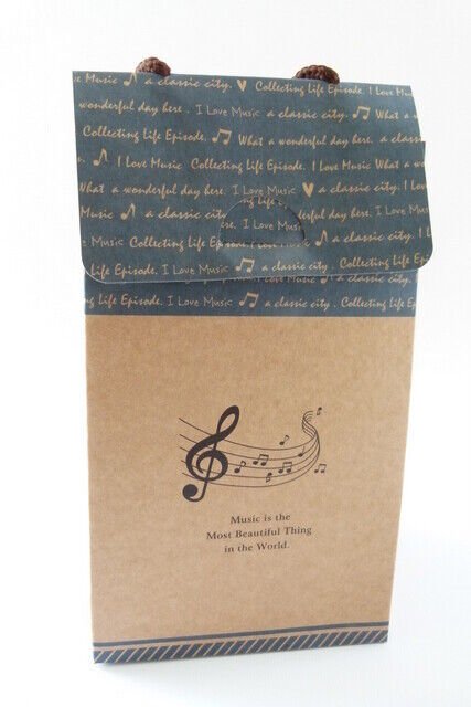 FunMusicOnline Music Themed DIY Paper Gift Box - PartyErasers