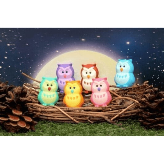 Iwako Japanese Puzzle Eraser - Owls - PartyErasers