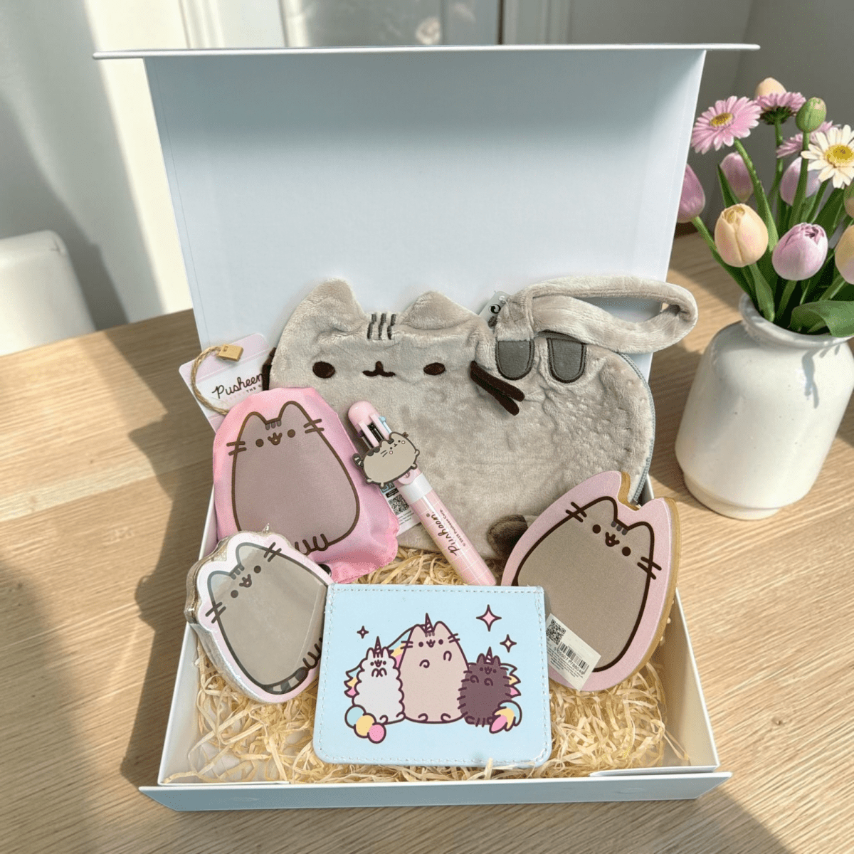 Pusheen Cat gift Box - Plush Pouch Set - PartyErasers