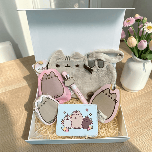 Pusheen Cat gift Box - Plush Pouch Set - PartyErasers