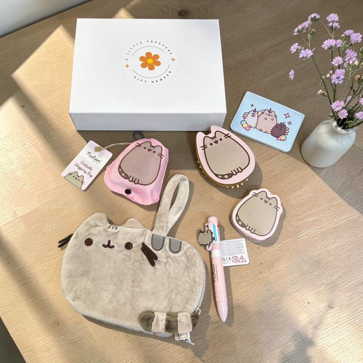 Pusheen Cat gift Box - Plush Pouch Set - PartyErasers